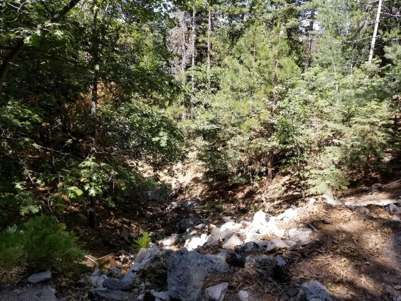 362 old toll, Lake Arrowhead, CA 92352