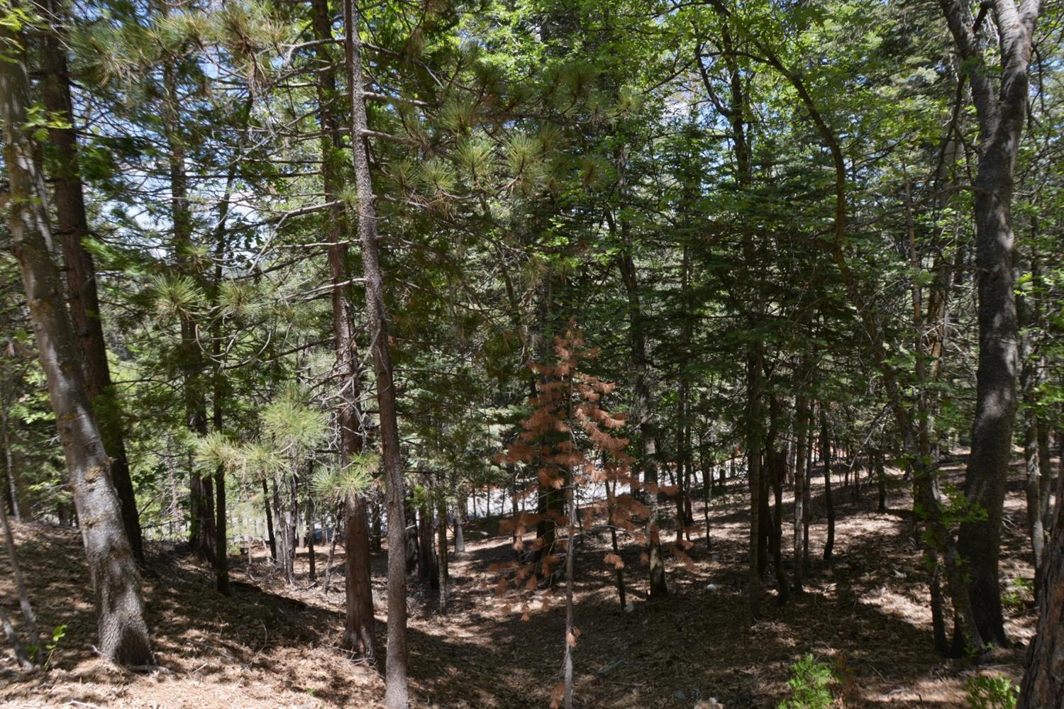 26638 Thunderbird, Lake Arrowhead, CA 92352
