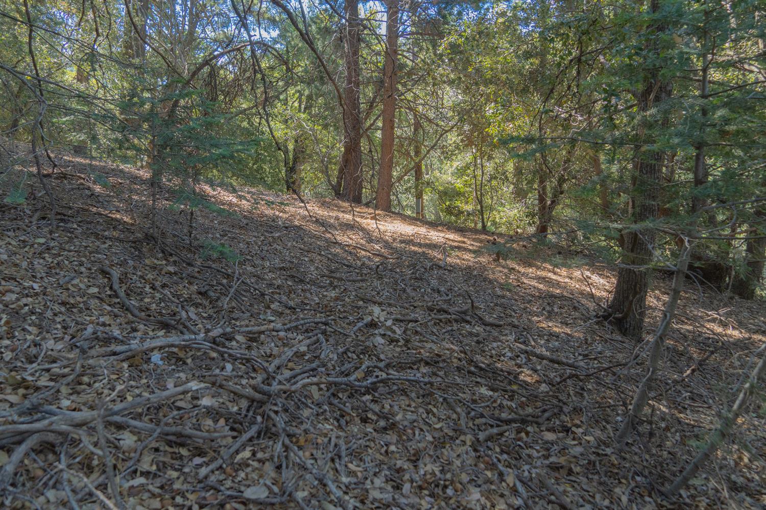 Arosa, Crestline, CA 92325