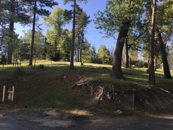 42 Park Drive, Running Springs, CA 92382