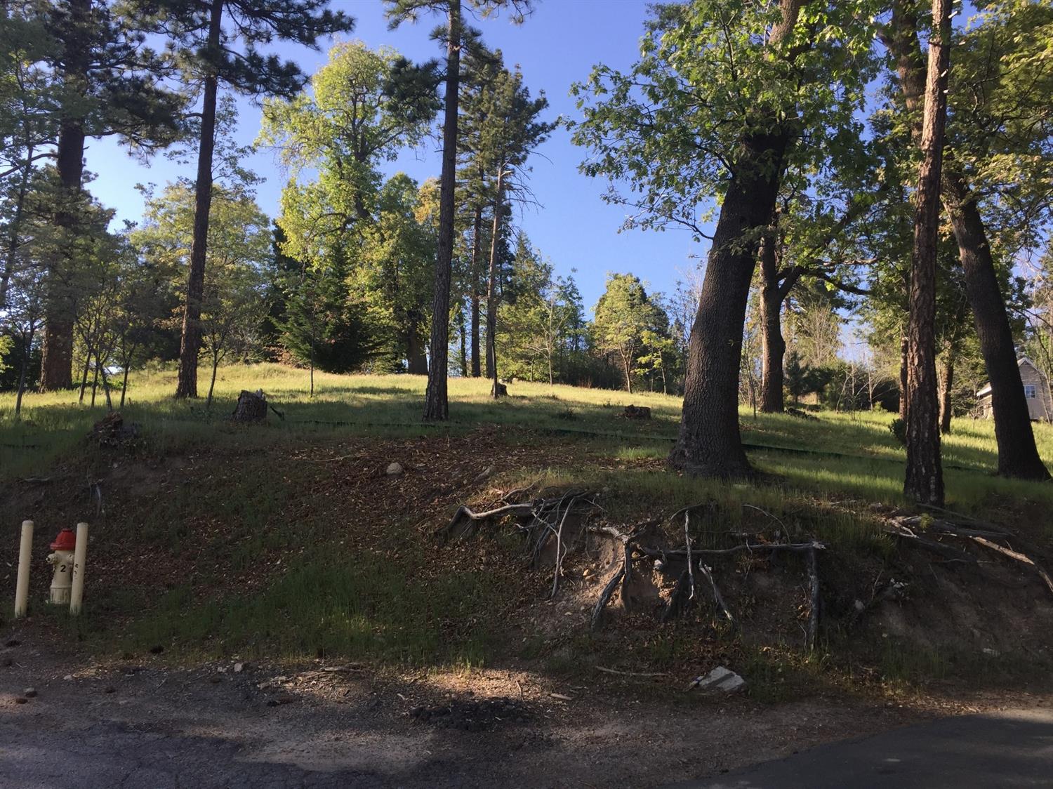 42 Park Drive, Running Springs, CA 92382