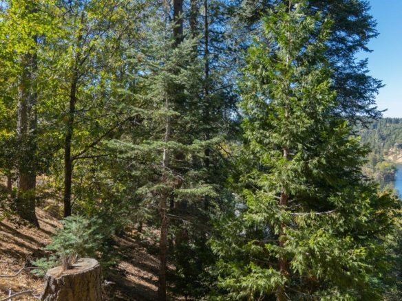 Arbula Drive, Crestline, CA 92325
