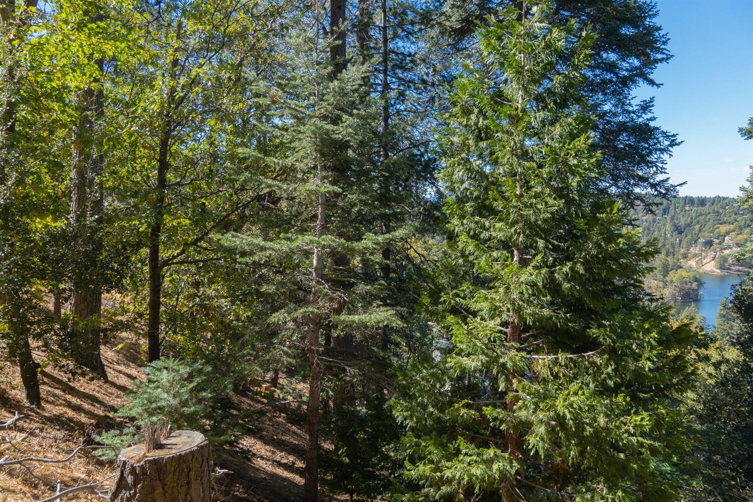 Arbula Drive, Crestline, CA 92325