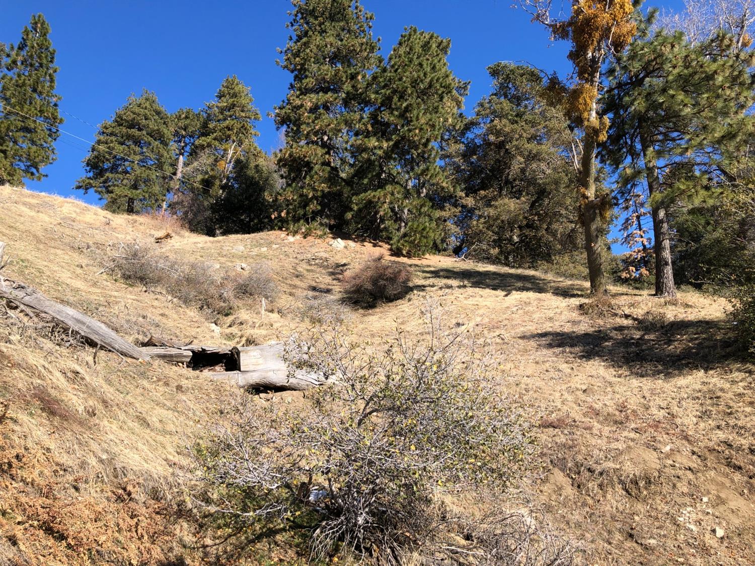 Cochran, Cedarpines Park, CA 92322
