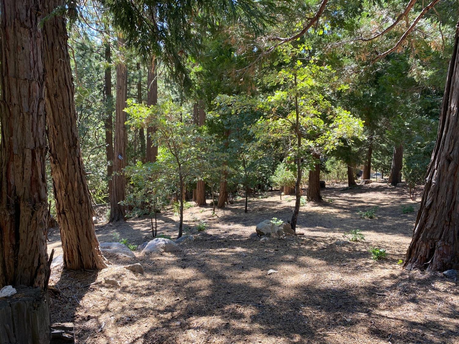 Grass Valley Road, Lake Arrowhead, CA 92352