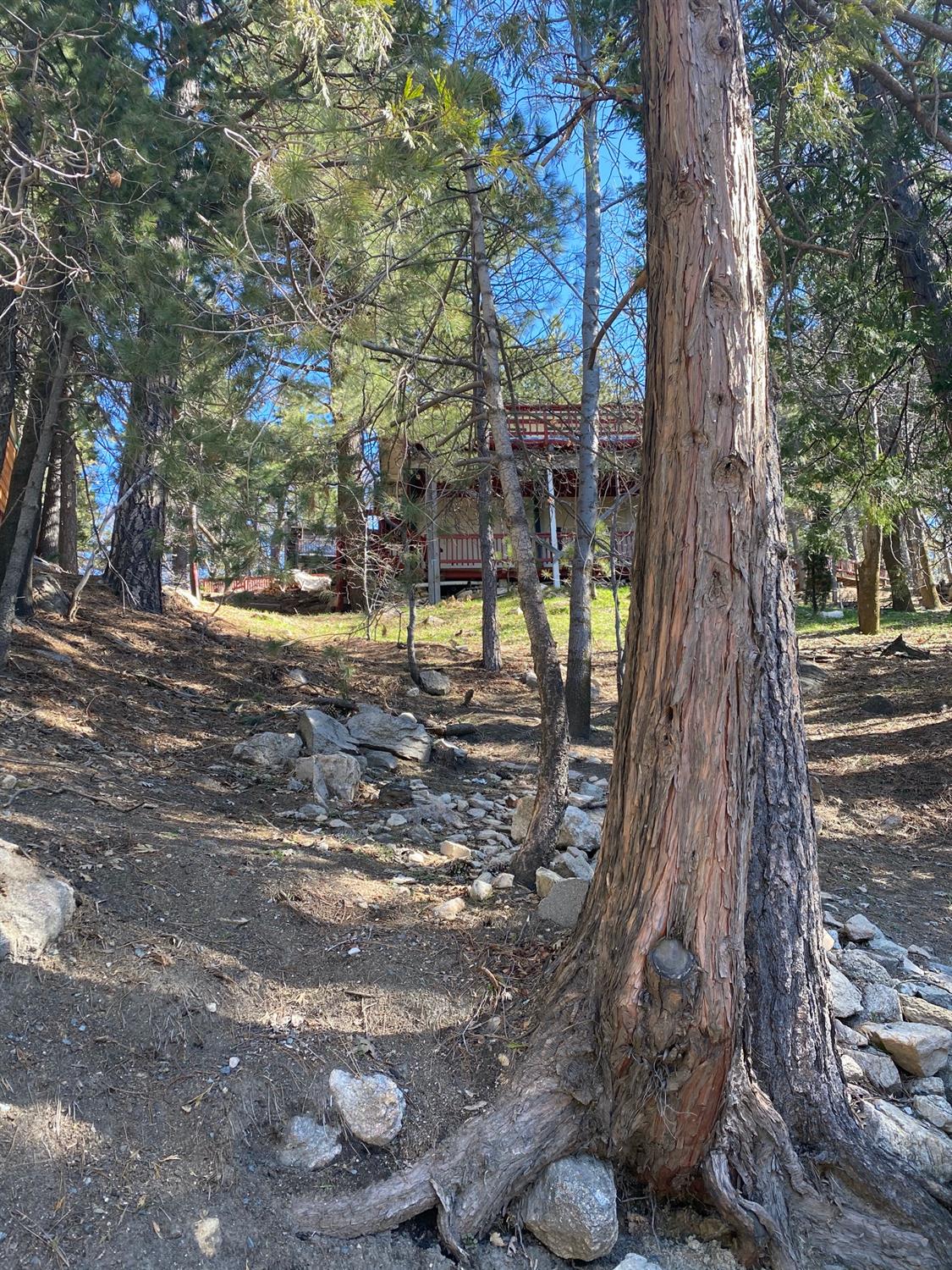 valley view, Rimforest, CA 92378