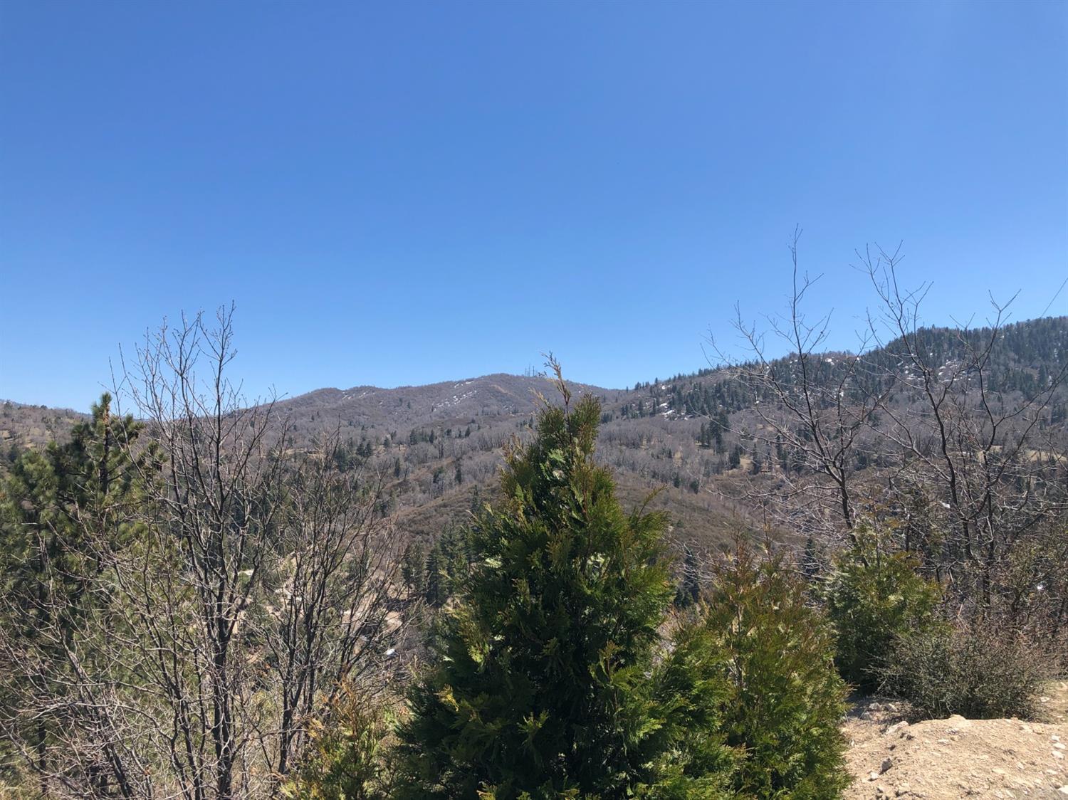 Craghill Drive, Cedar Glen, CA 92321