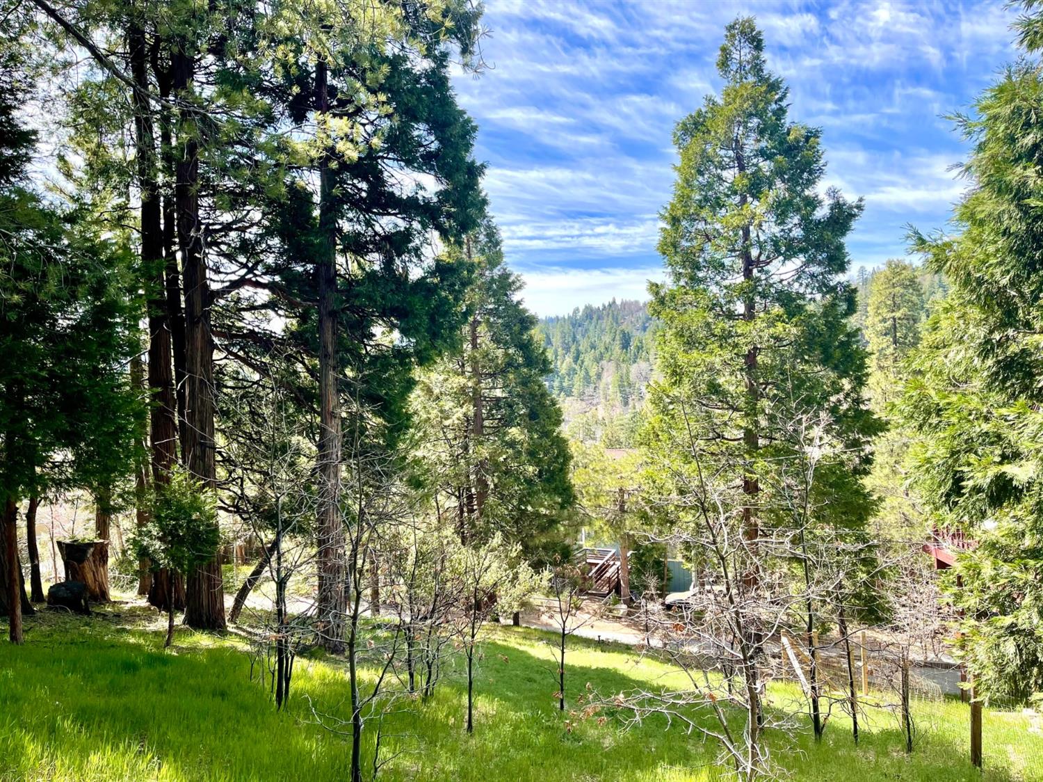 Bernina Drive, Lake Arrowhead, CA 92352