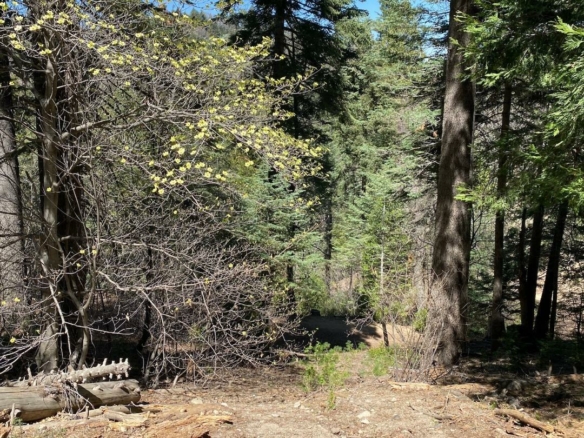Jacqueline Road, Twin Peaks, CA 92391