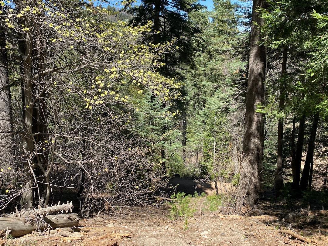 Jacqueline Road, Twin Peaks, CA 92391