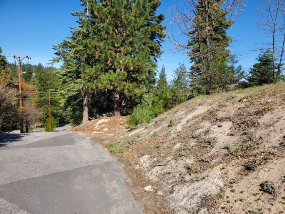 Pine Manor, Running Springs, CA 92382