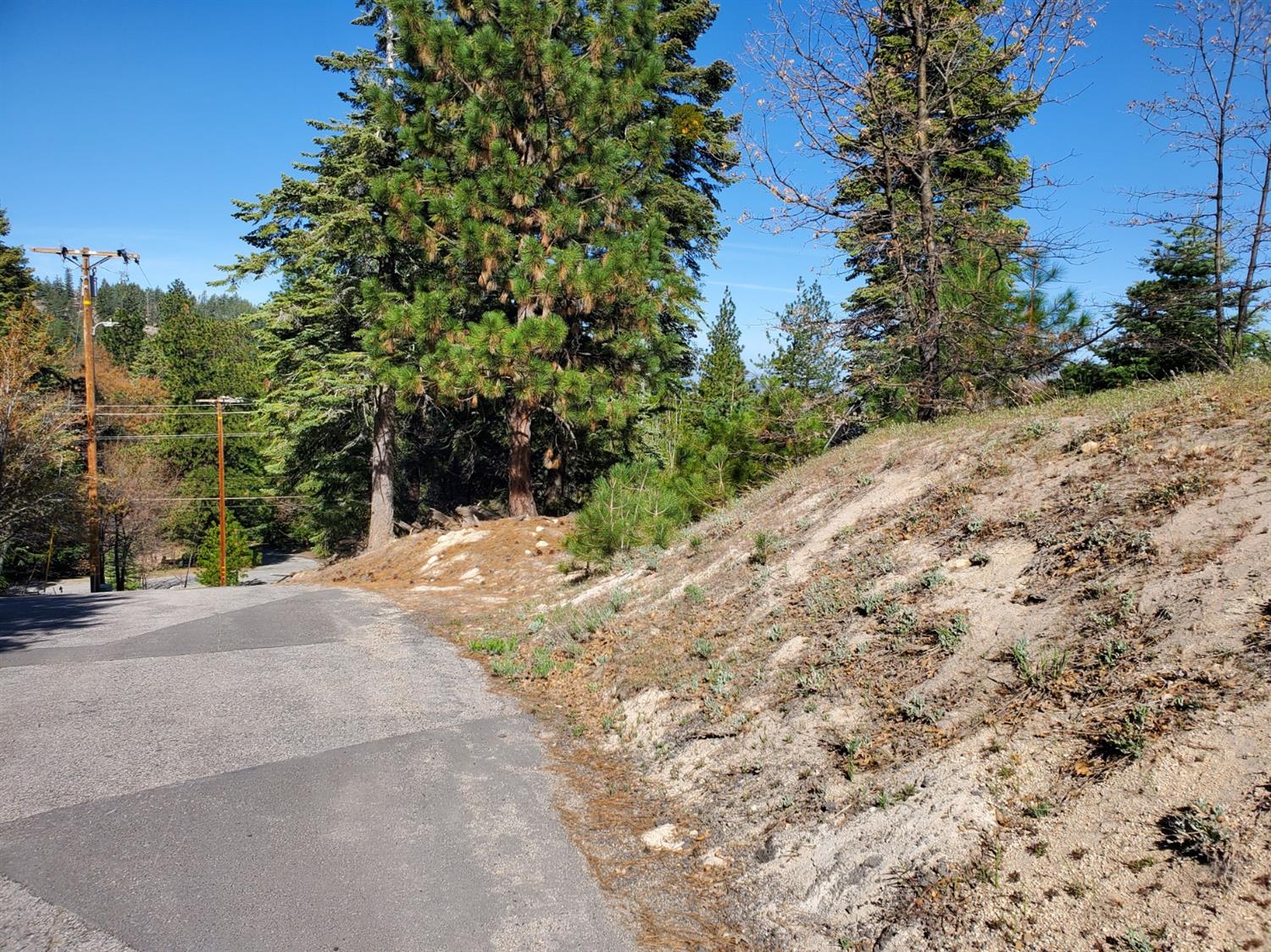 Pine Manor, Running Springs, CA 92382