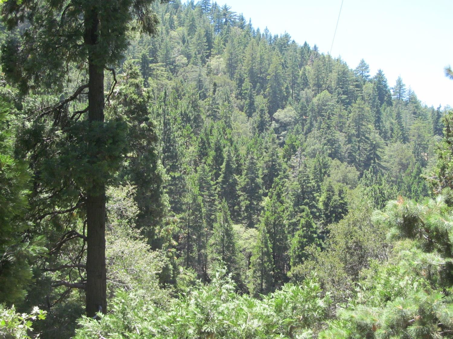 Basel Drive, Crestline, CA 92325