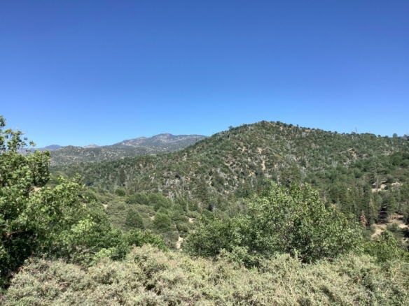 Cypress Road, Cedar Glen, CA 92321