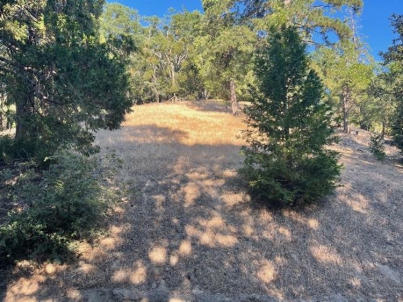 22494 Mojave River Road, Cedarpines Park, CA 92322