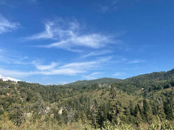 Craghill Drive, Cedar Glen, CA 92321