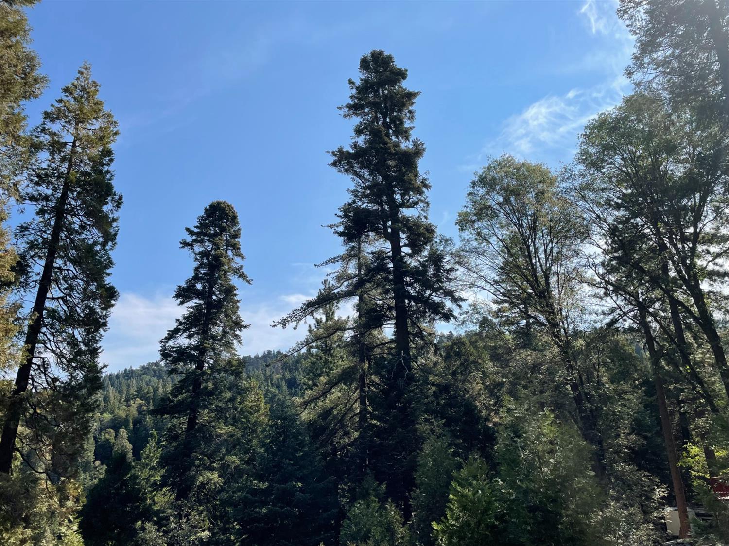 1297 Forest View Drive, Crestline, CA 92325