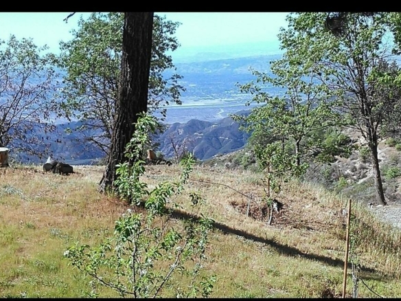 74 Park Drive, Running Springs, CA 92382