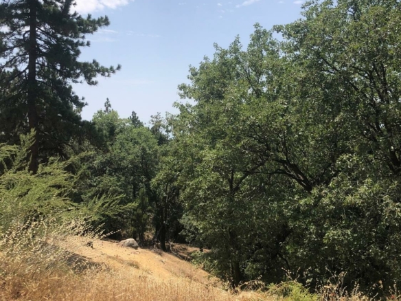 Enchanted Way Way, Running Springs, CA 92382