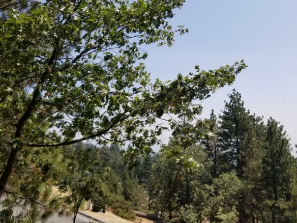 Enchanted Way, Running Springs, CA 92382