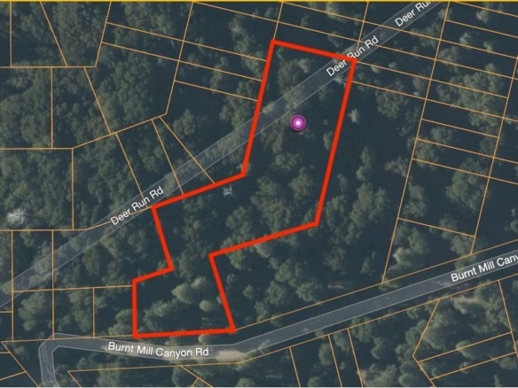 Burnt Mill Canyon Road, Cedarpines Park, CA 92322