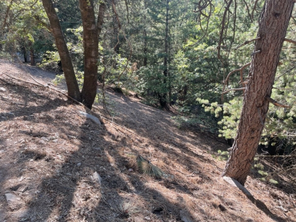 Highland Drive, Crestline, CA 92325