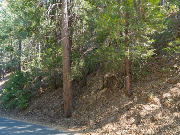 Bergschrund Drive, Crestline, CA 92325