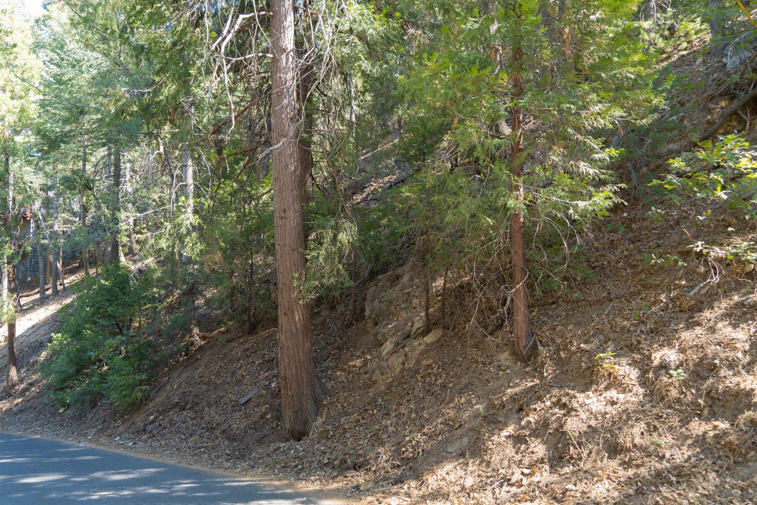 Bergschrund Drive, Crestline, CA 92325
