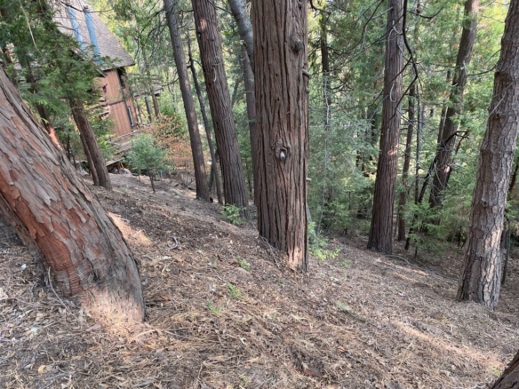 Aldorf Drive, Crestline, CA 92325