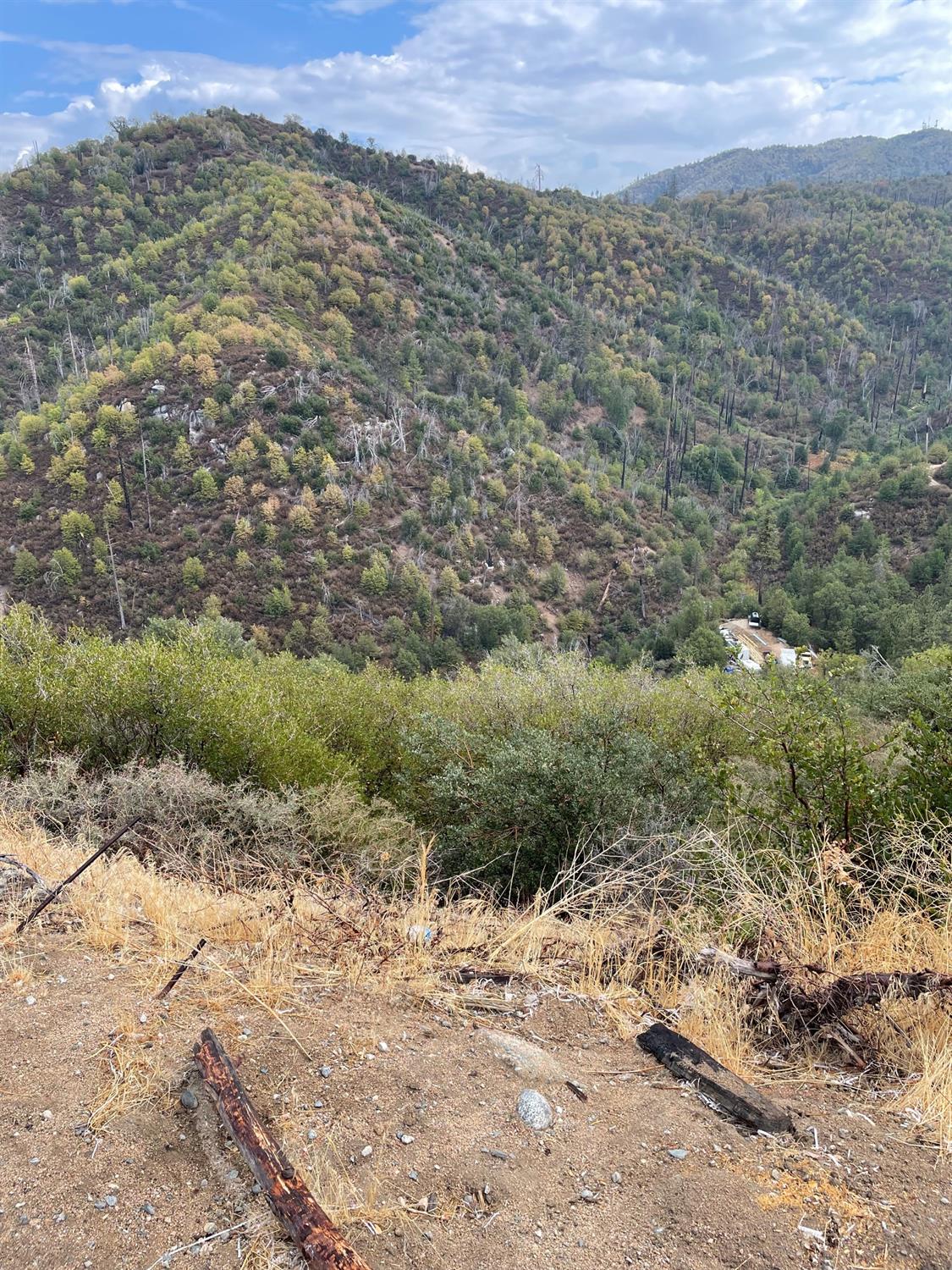 Hickory, Cedar Glen, CA 92321