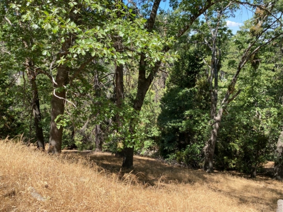 Jewel Drive, Crestline, CA 92325