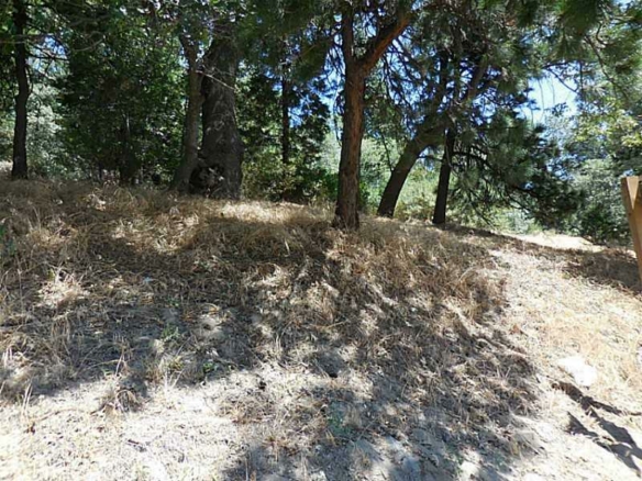 HWY 18 & Scenic, Rimforest, CA 92378
