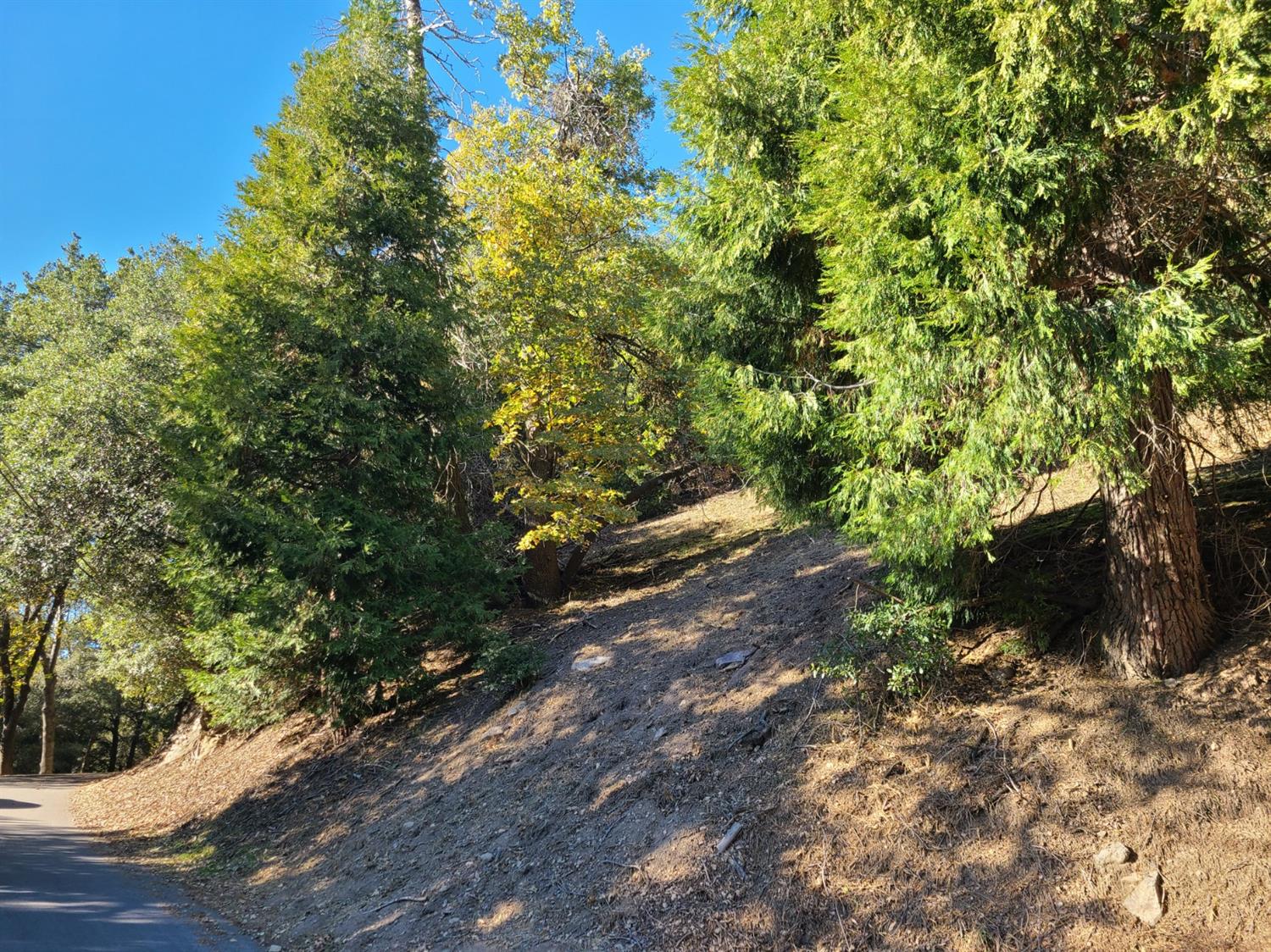 Devils Canyon, Cedarpines Park, CA 92322