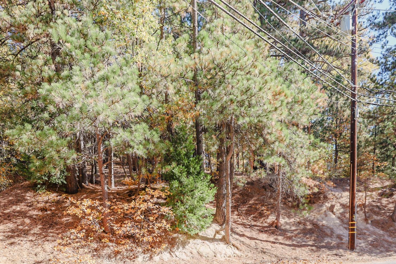 Golf Course Road, Lake Arrowhead, CA 92352