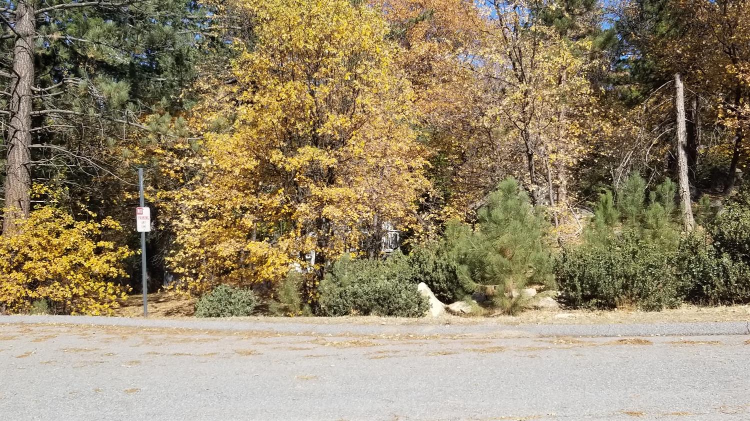 32240 Whisper Drive, Running Springs, CA 92382
