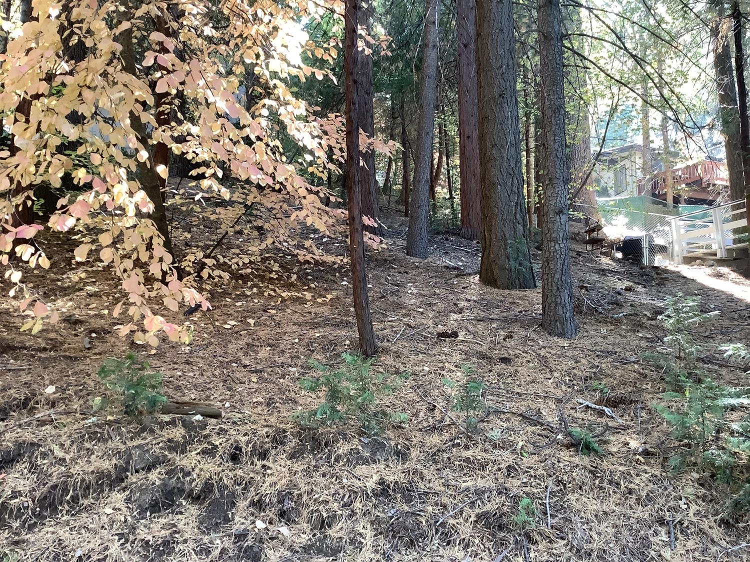 Altamont Court, Lake Arrowhead, CA 92352