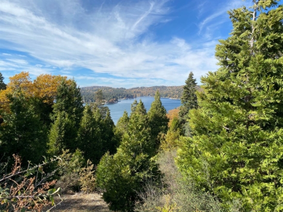 149 Mill Pond Road, Lake Arrowhead, CA 92352