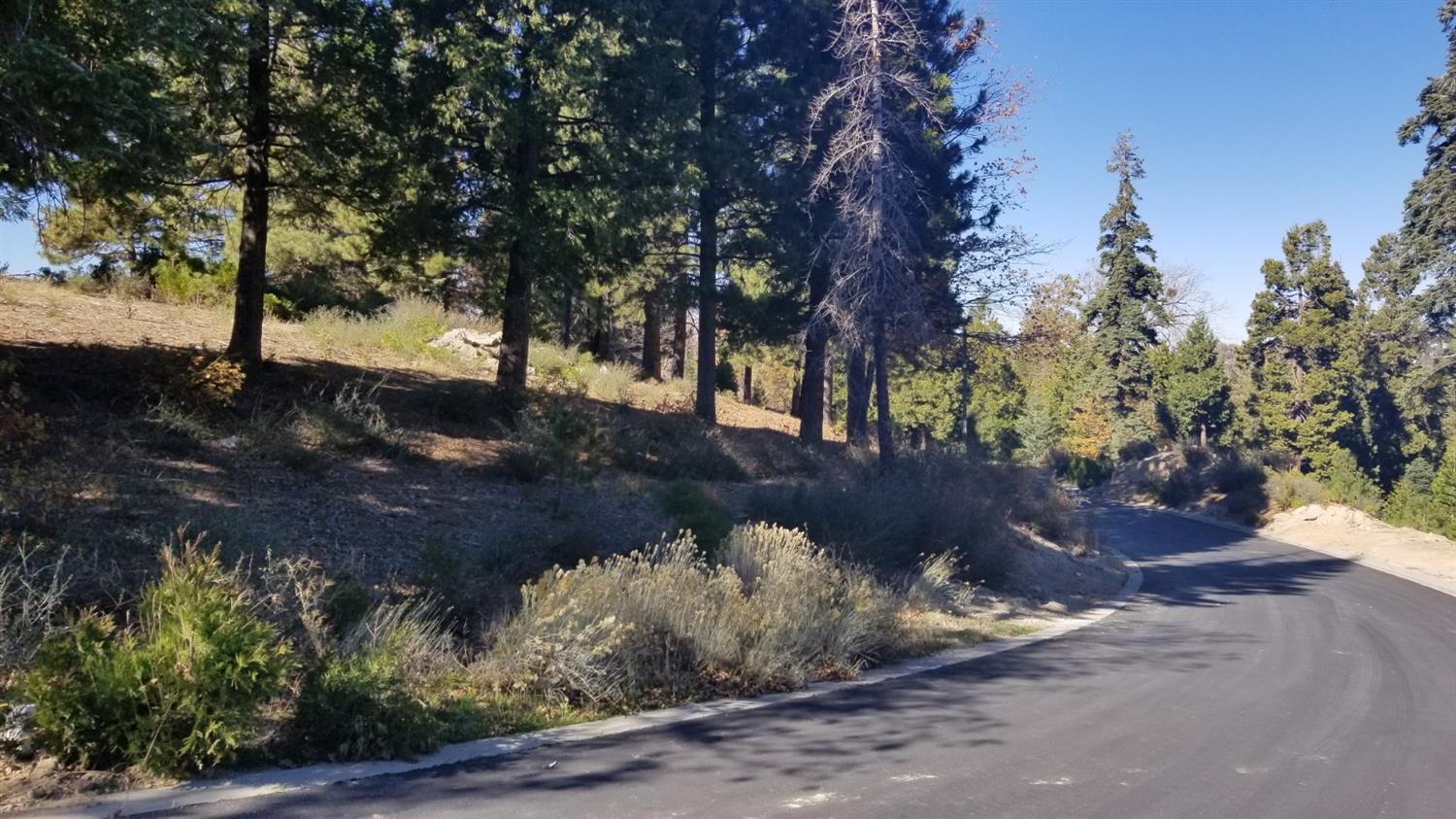 188 Mill Pond Road, Lake Arrowhead, CA 92352