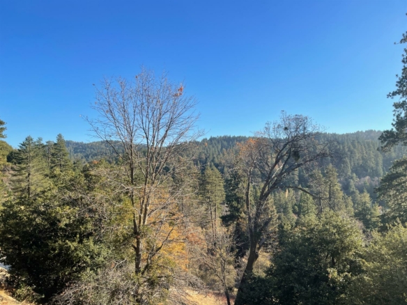 Cedar Lane, Crestline, CA 92325