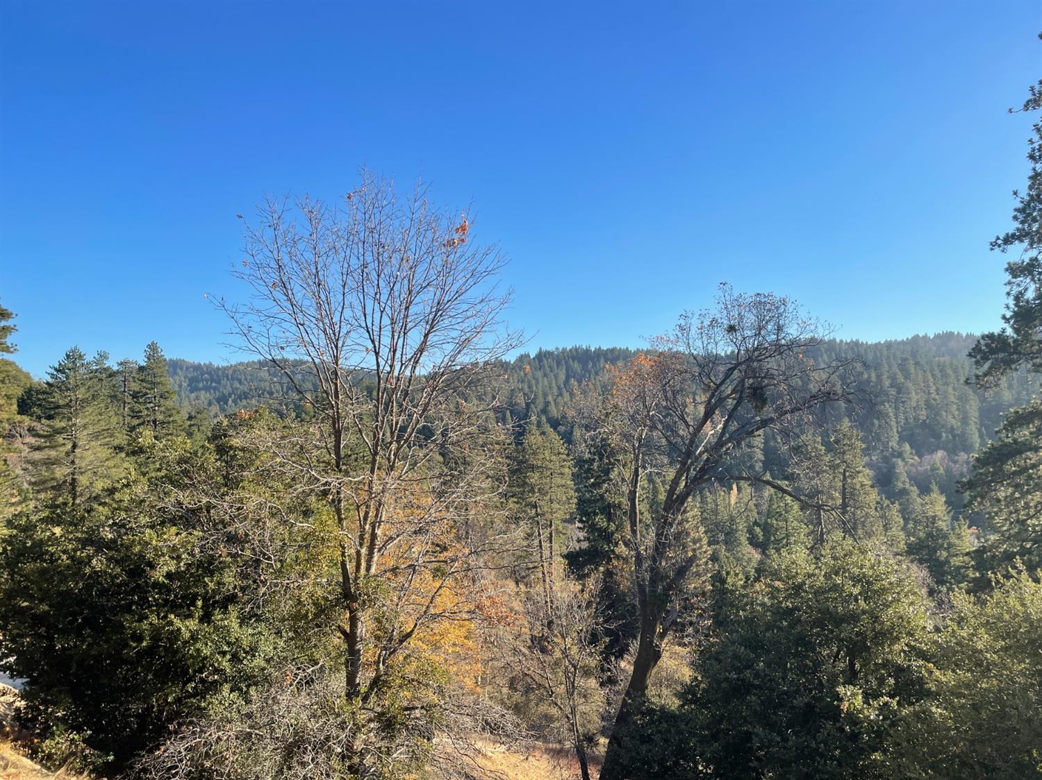Cedar Lane, Crestline, CA 92325