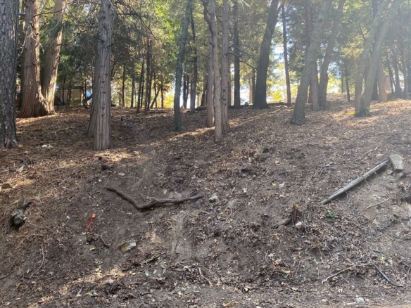Basel Drive, Crestline, CA 92325