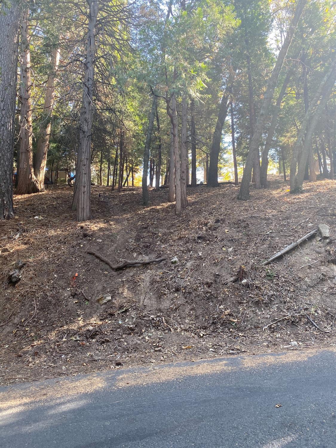 Basel Drive, Crestline, CA 92325