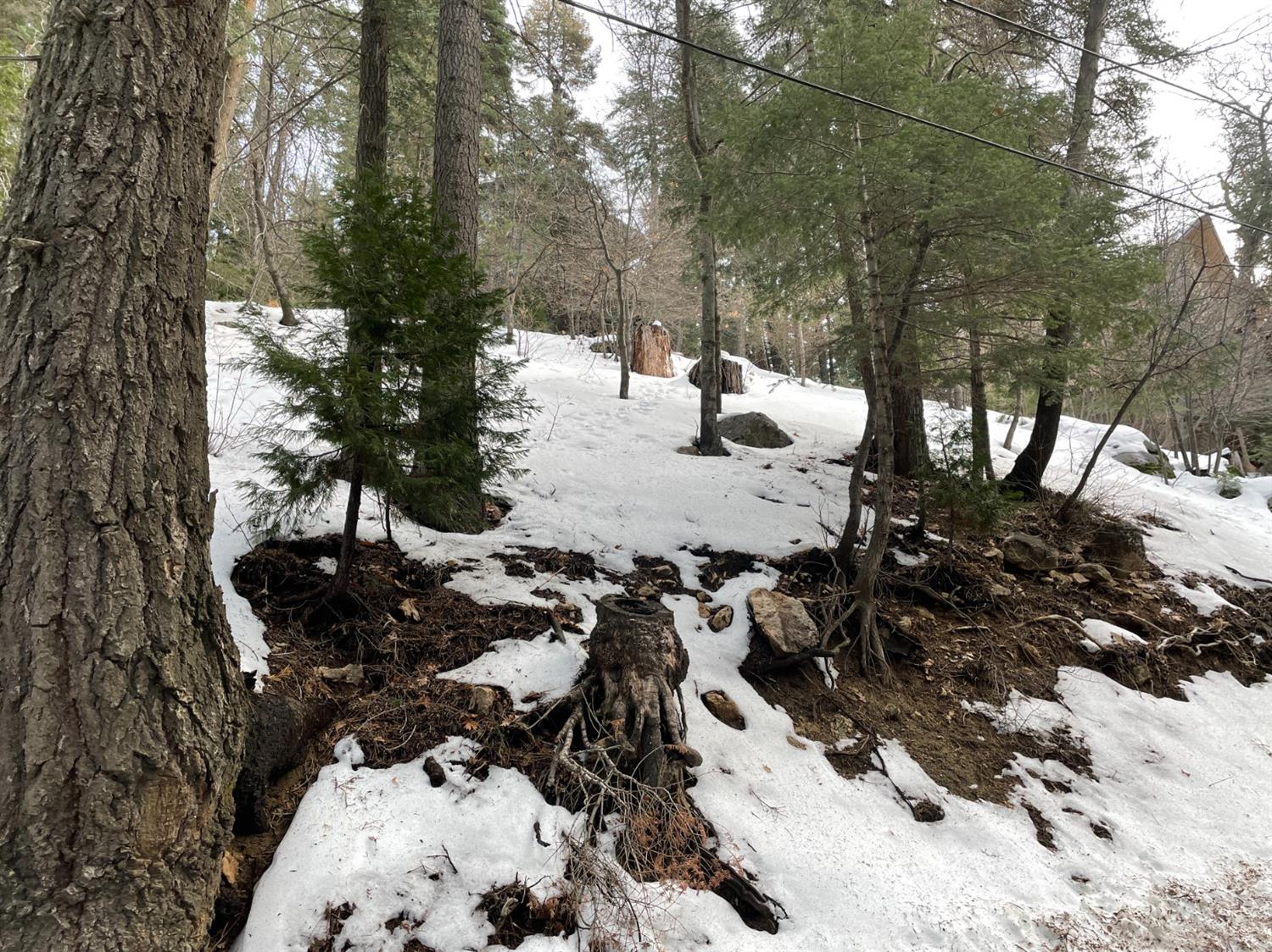 Sunderland Court, Lake Arrowhead, CA 92352
