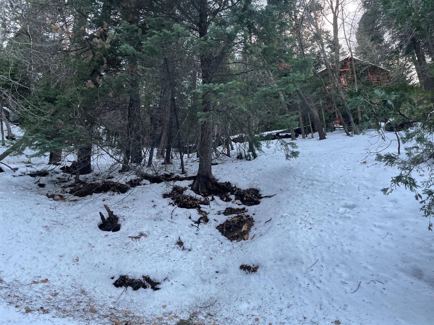 Bangor Lane, Lake Arrowhead, CA 92352