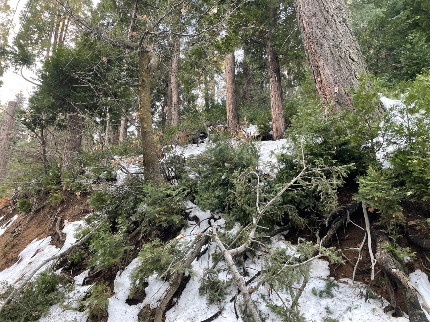 Oakmont Lane, Lake Arrowhead, CA 92352