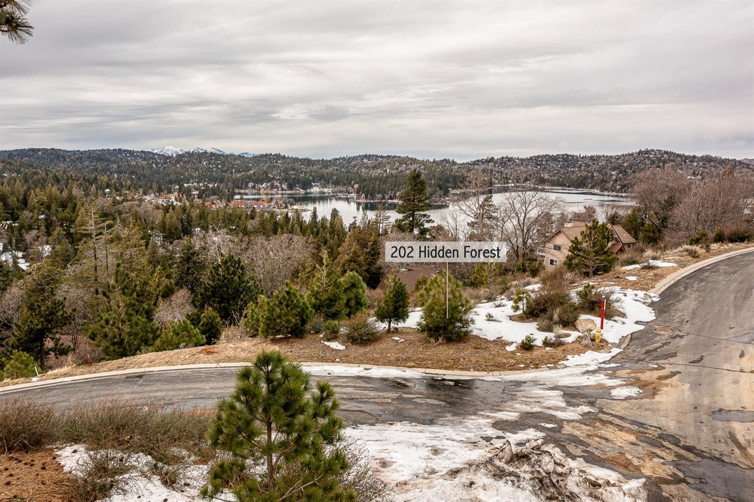 202 Hidden Forest Road, Lake Arrowhead, CA 92352