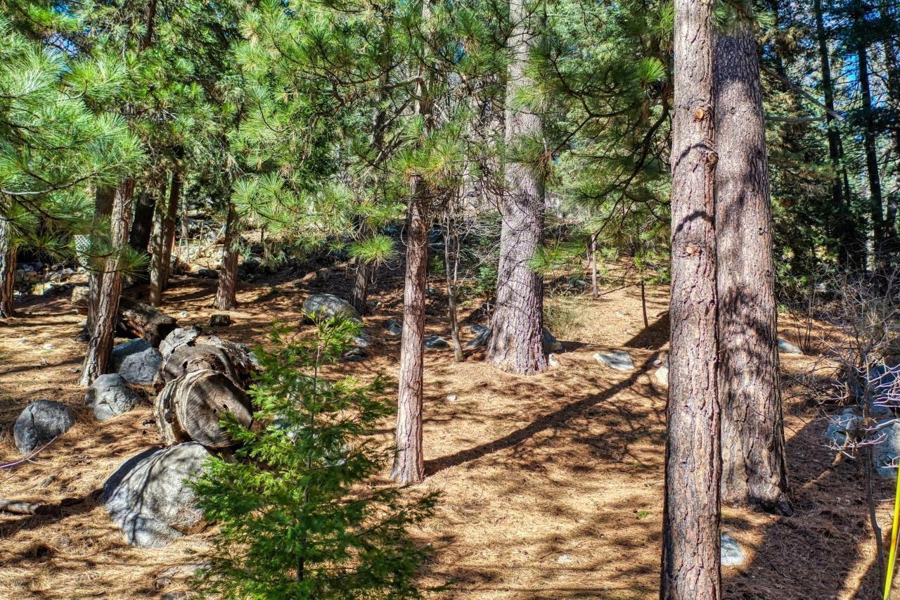 Clubhouse Drive, Lake Arrowhead, CA 92352