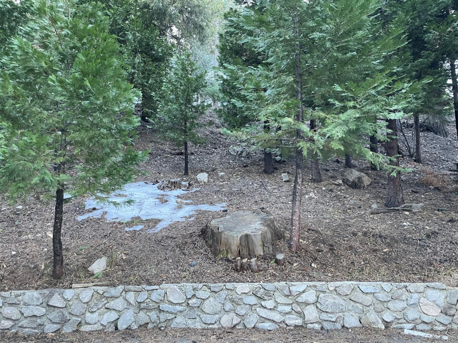 Lakes Edge, Lake Arrowhead, CA 92352