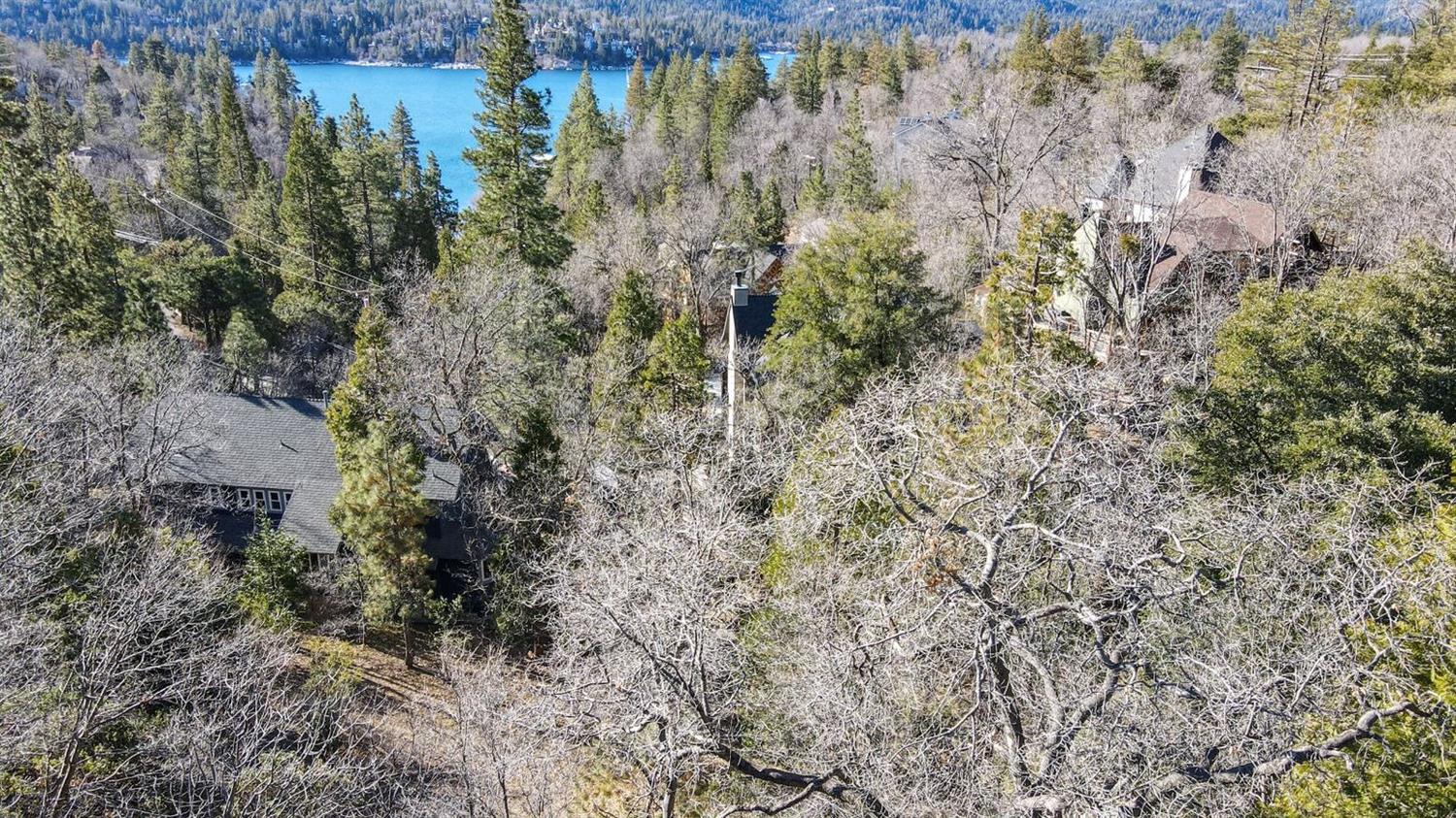 1138 State Hwy 173, Lake Arrowhead, CA 92352