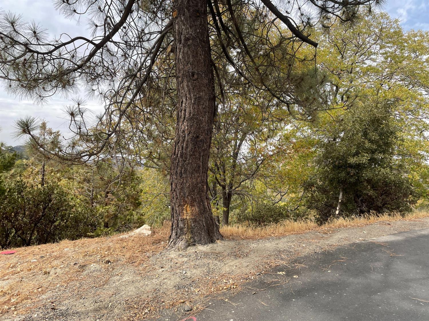 1300 Evergreen Lane, Lake Arrowhead, CA 92352